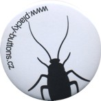 pl_05.jpg (6 KB)