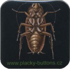 pl_06.jpg (7 KB)